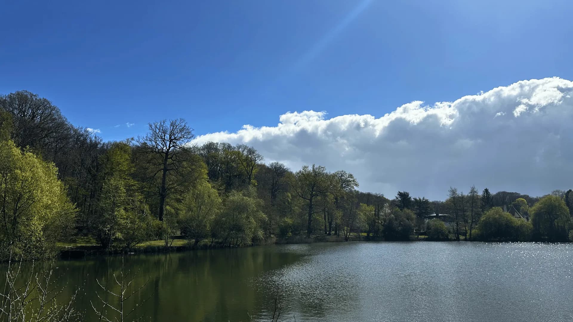 Etang dans la forêt de Meudon