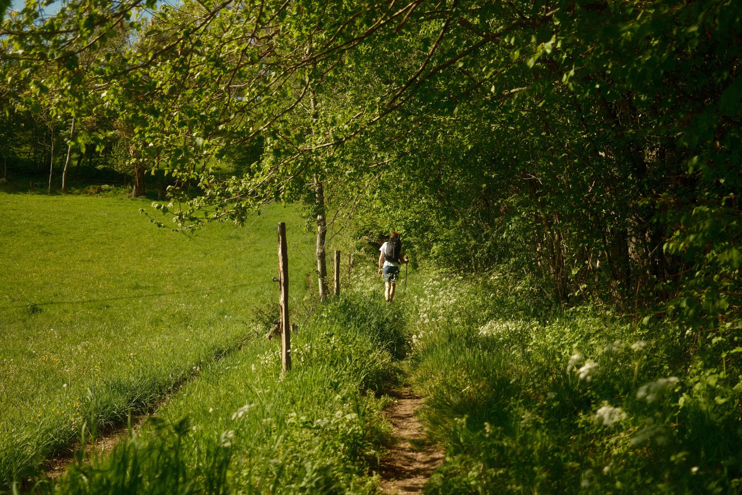 Randonneur dans les Monts du Lyonnais