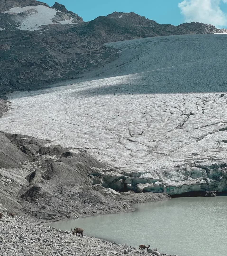 Les glaciers de Bonneval