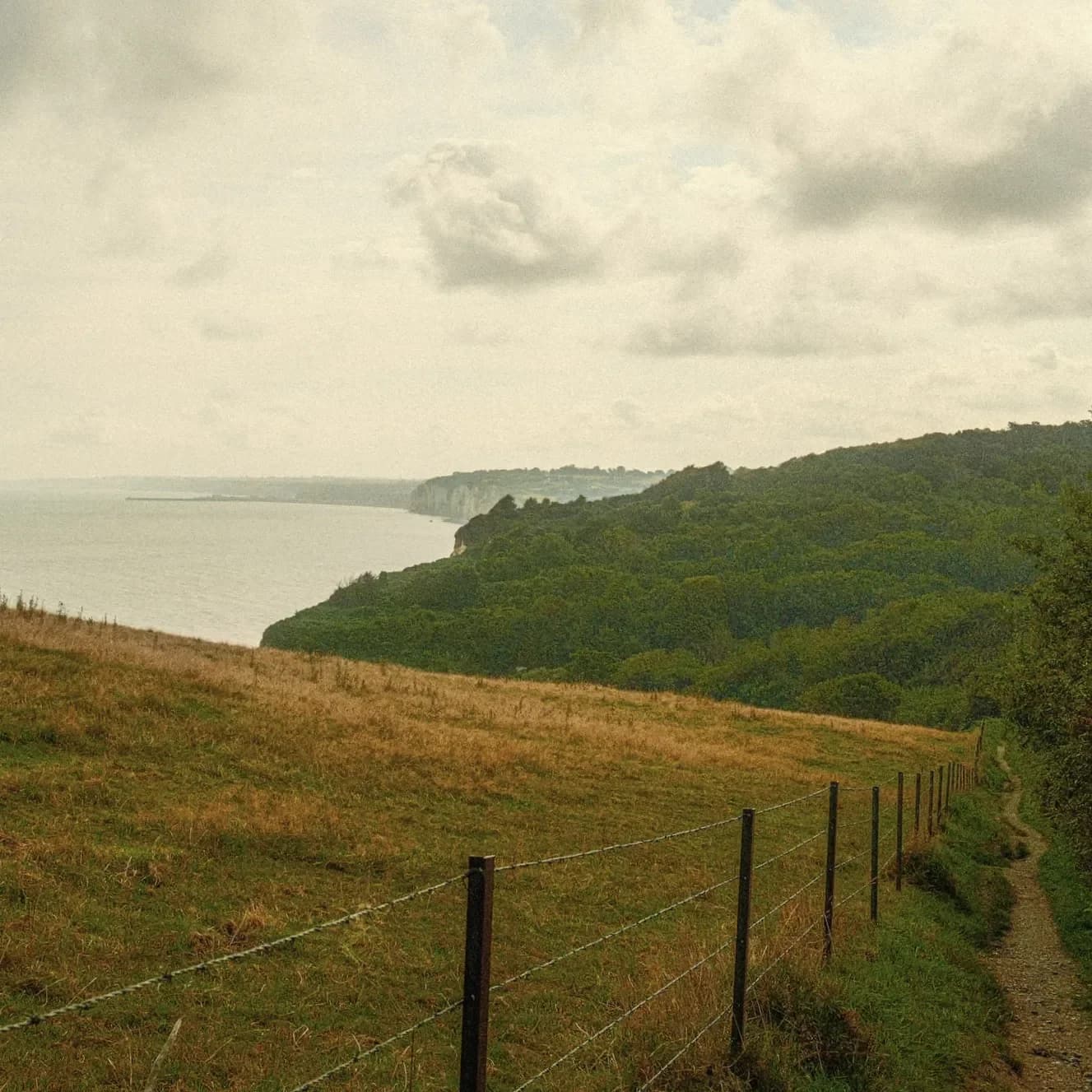 Randonnée falaises normandes