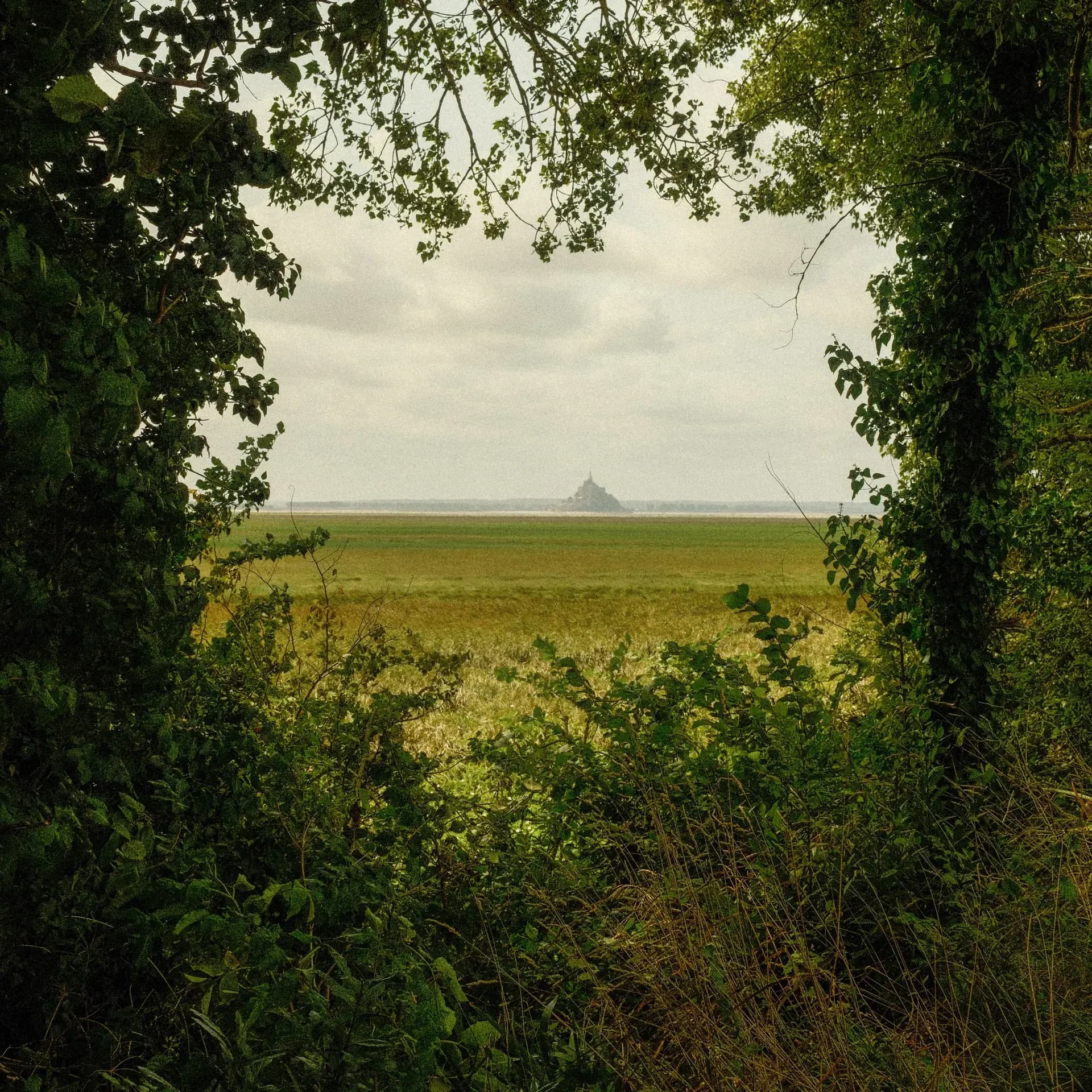 2 jours de randonnée face au Mont-Saint-Michel sur le GR223