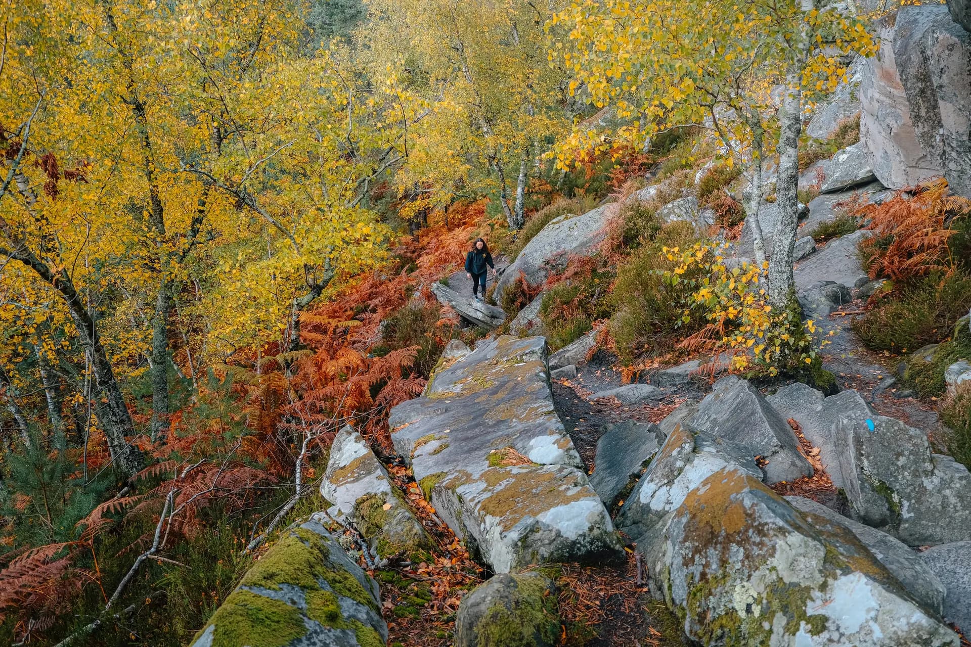Randonneuse au milieu des rochers de Fontainebleau
