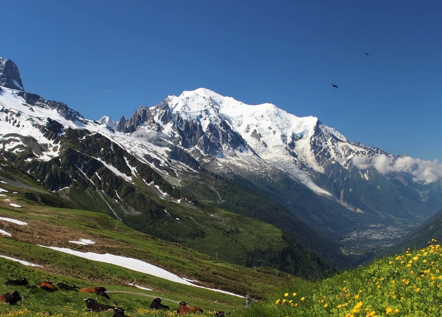 Le tour du Mont Blanc