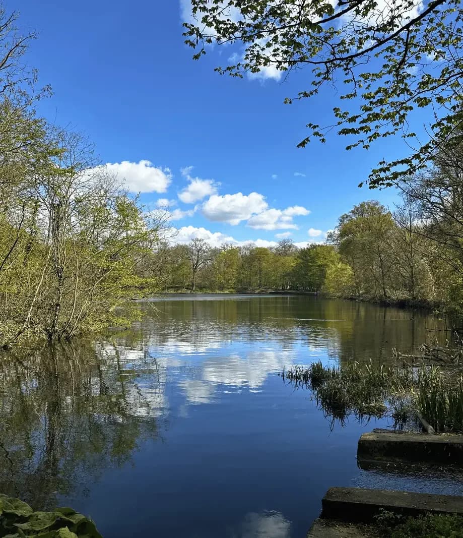 Etang dans la forêt de Meudon