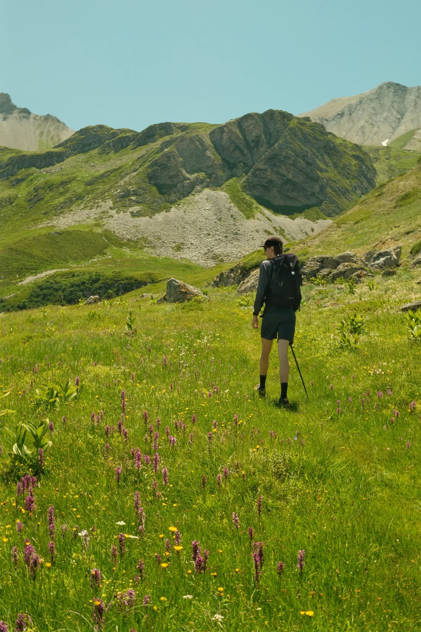 Randonneur au milieu des fleurs dans le massif de Belleville