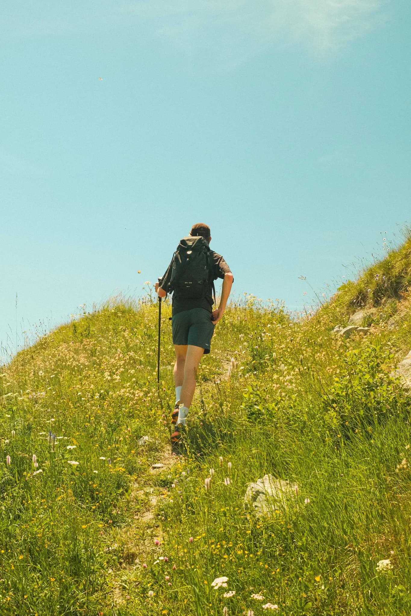 Montée en randonnée au milieu des fleurs