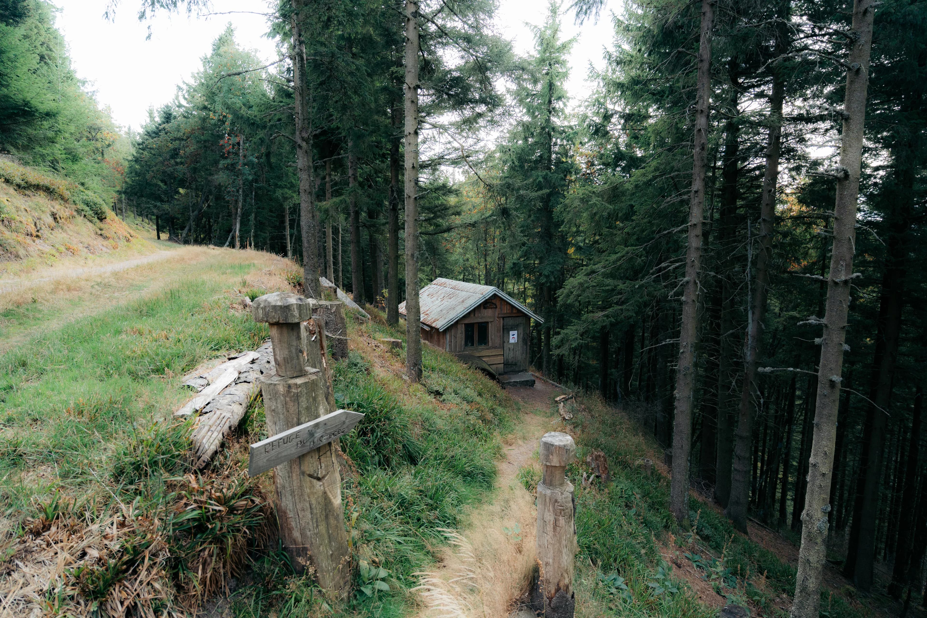Cabane en bois en pleine forêt des Vosges