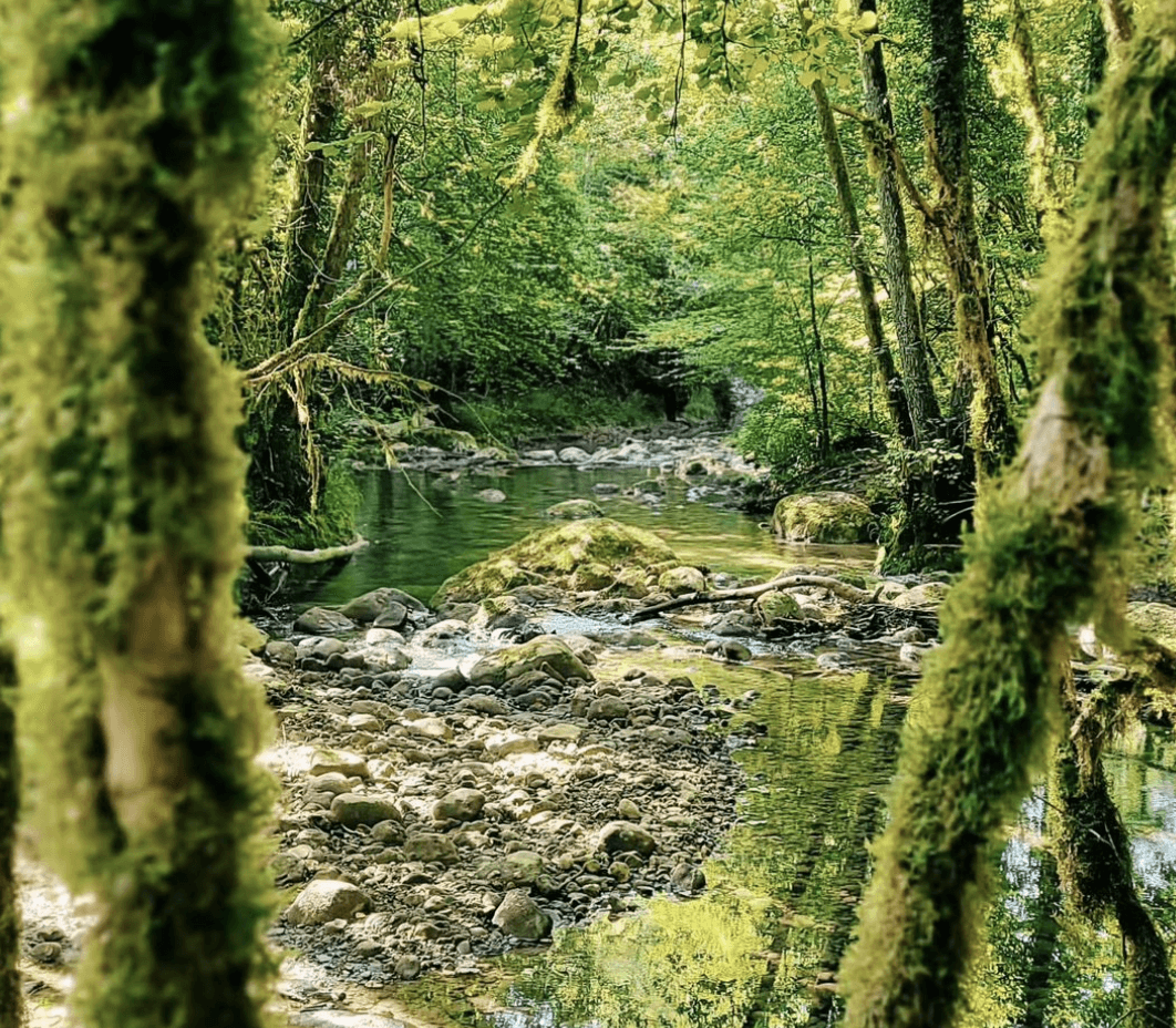 randonnée sur La Grande Traversée du Jura