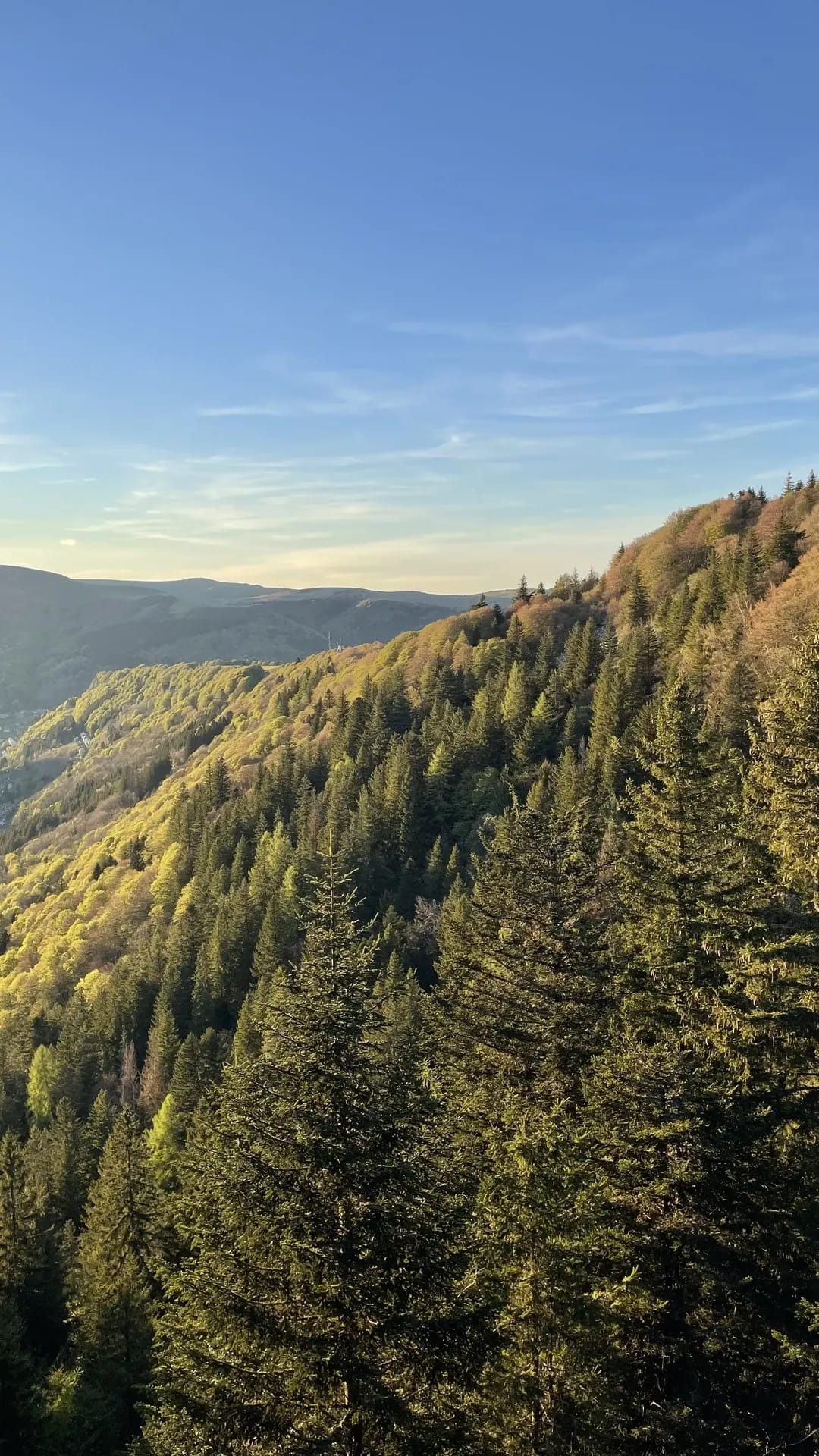 Randonnée sur les volcans du Sancy