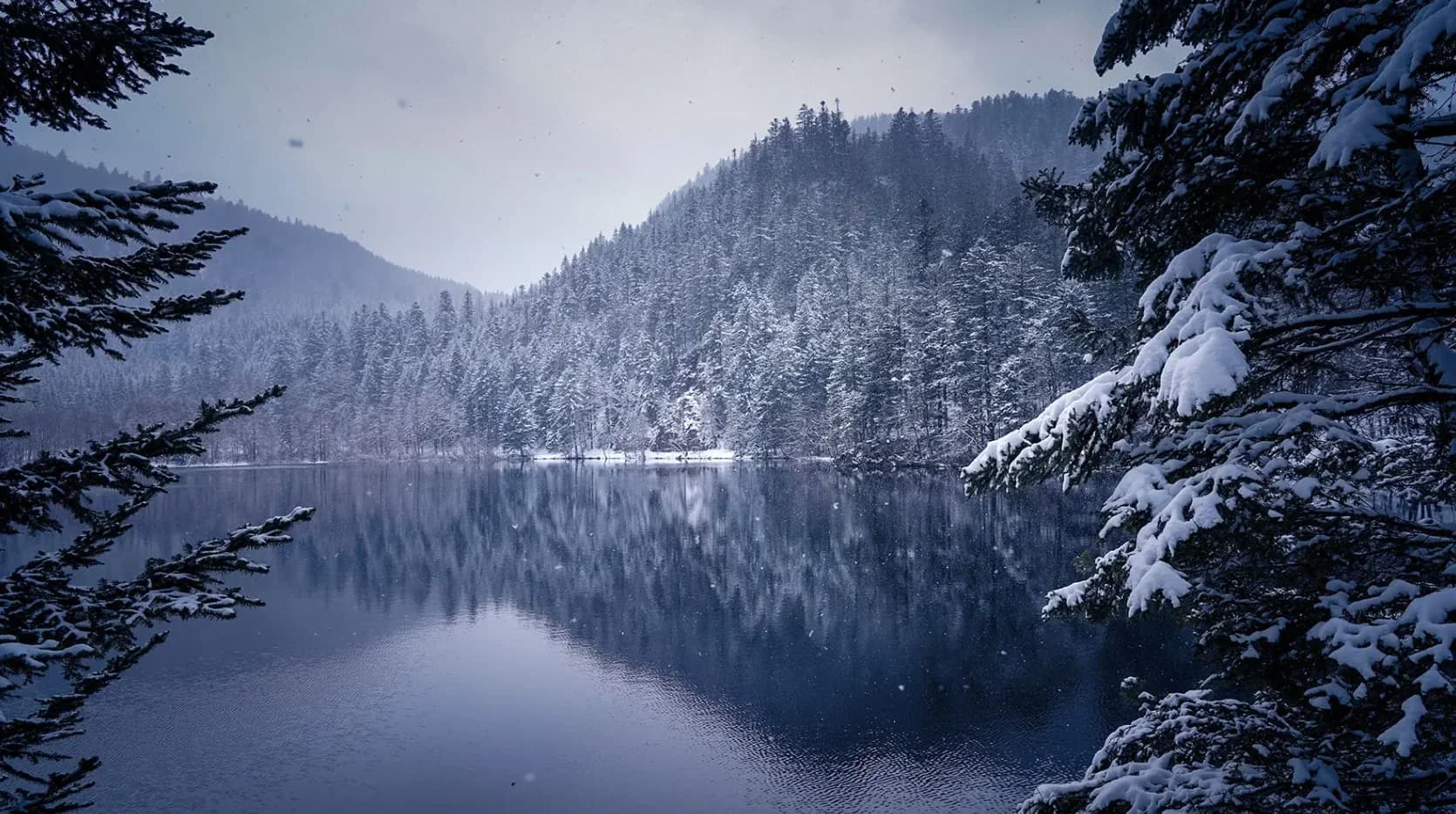 Lac enneigé dans les Vosges
