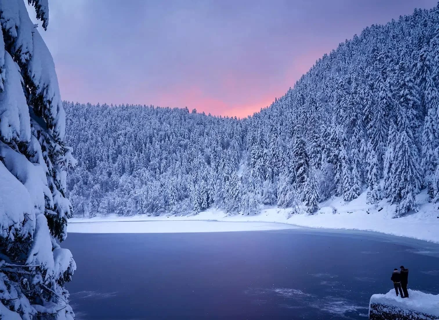 Paysage enneigé du massif des Vosges