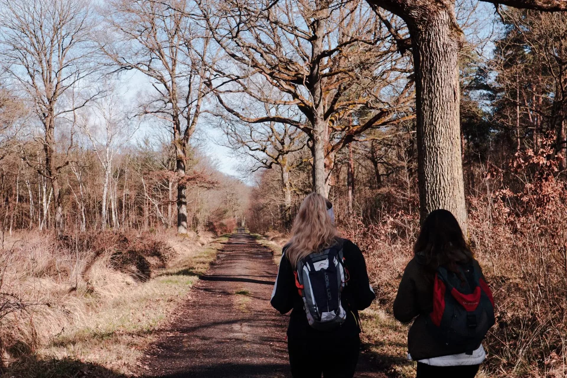 Forêt de Rambouillet