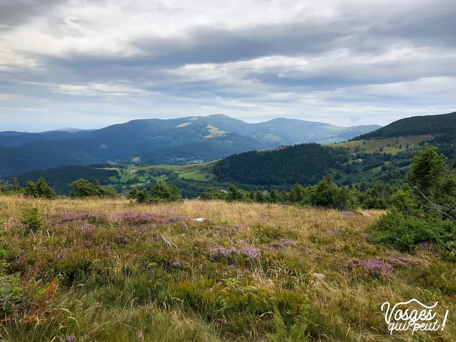 les Chaumes des Vosges