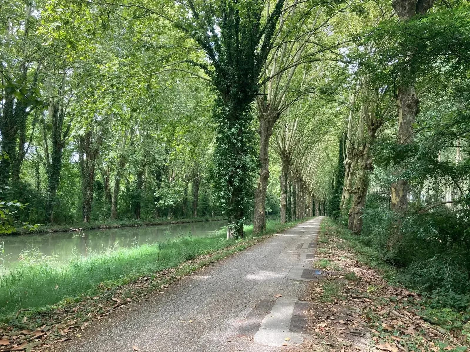 Canal d'Avignon à Narbonne