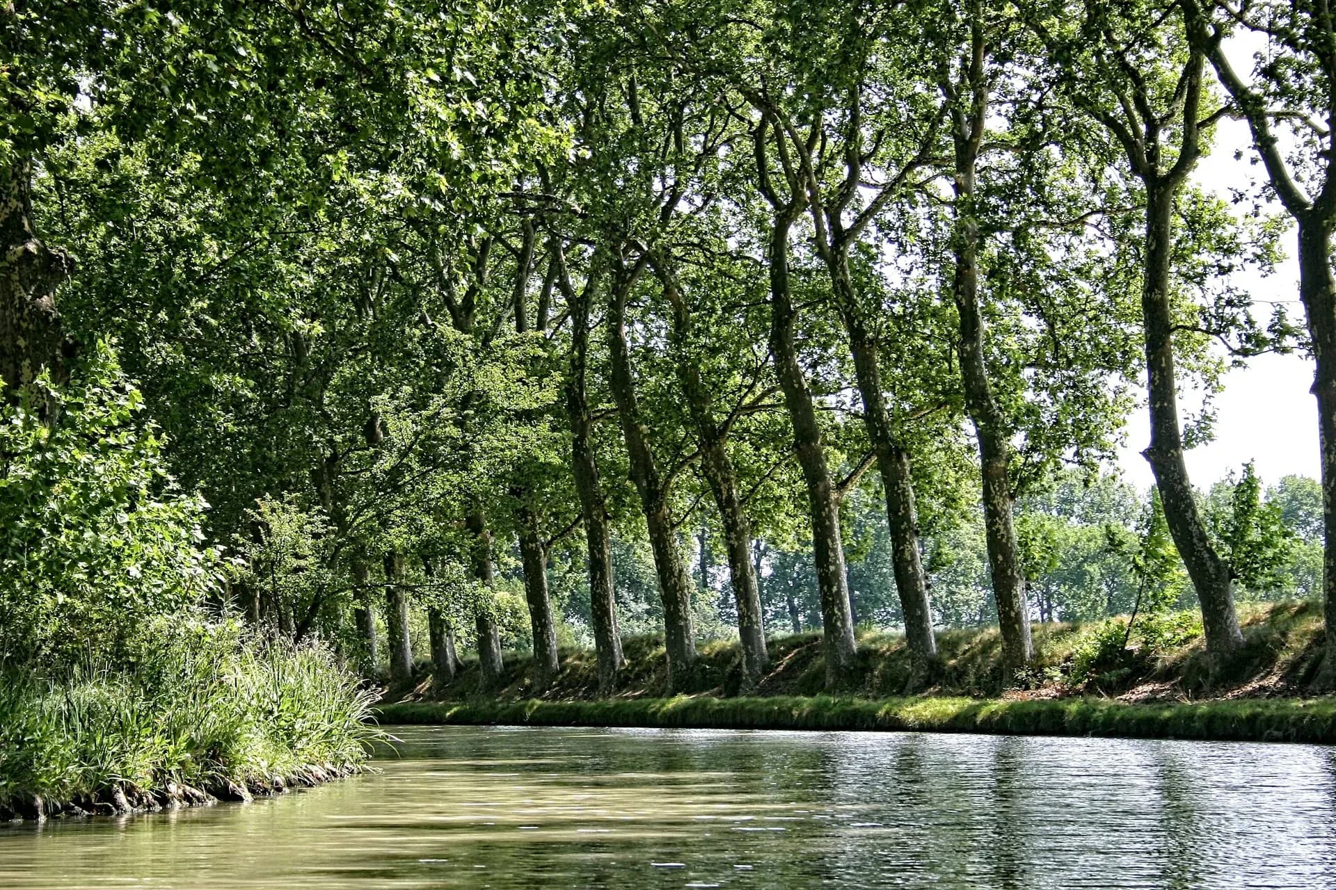 Le Canal d'entre deux mers
