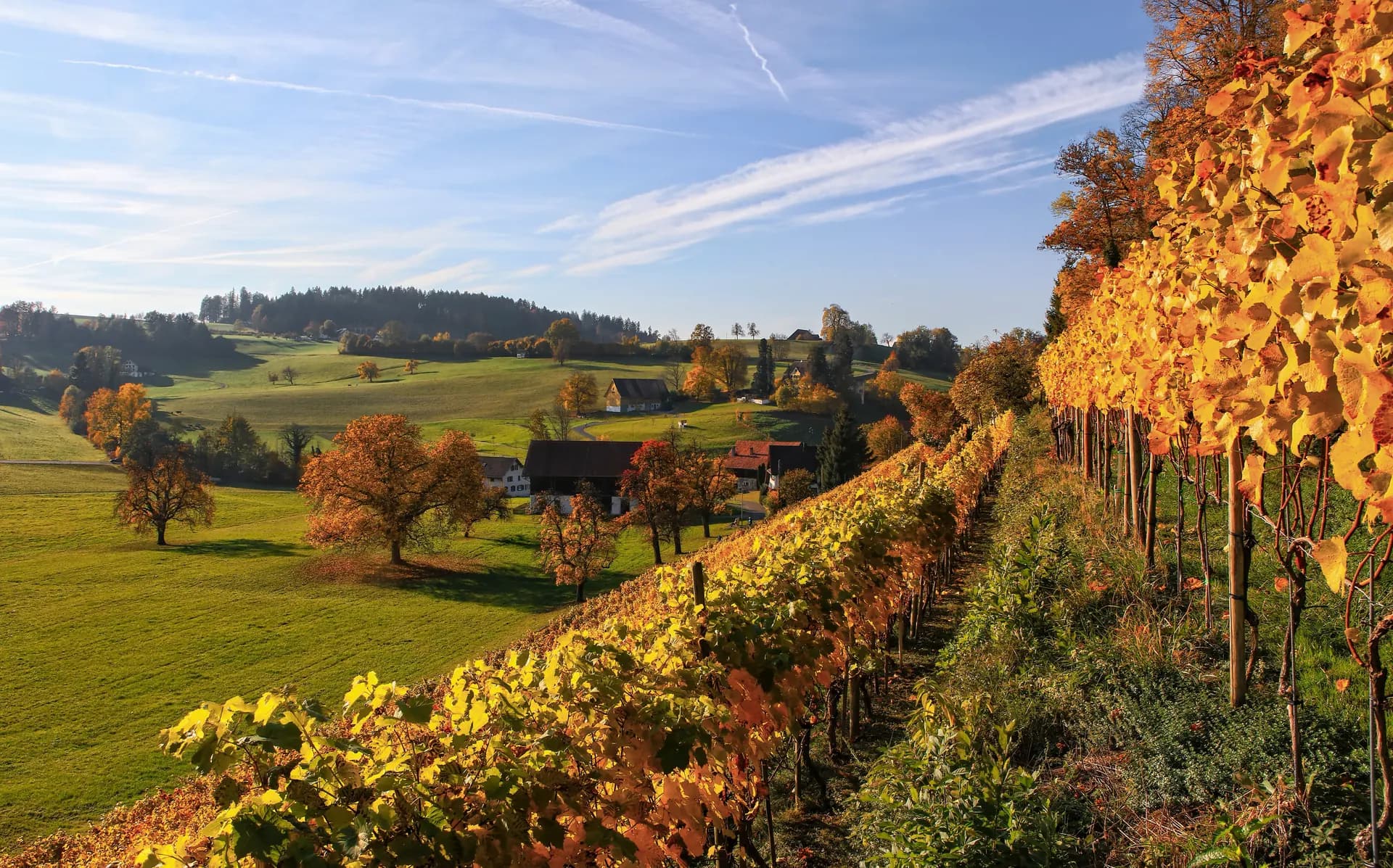 Alsace