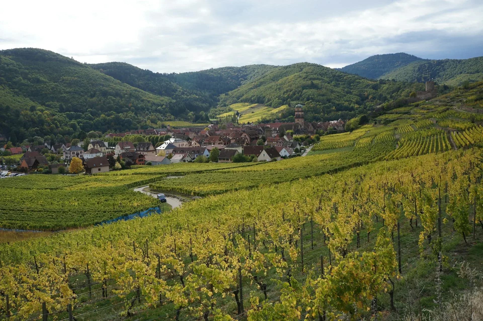 Alsace