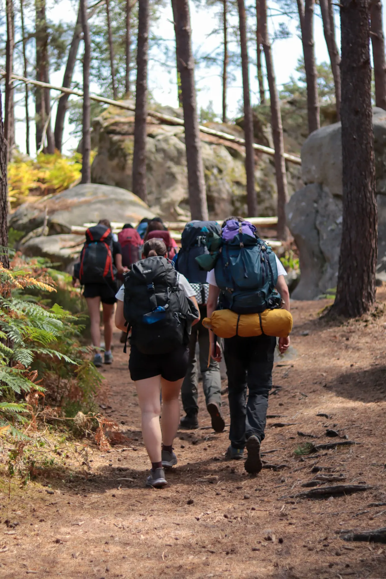 2 jours de bivouac à Fontainebleau