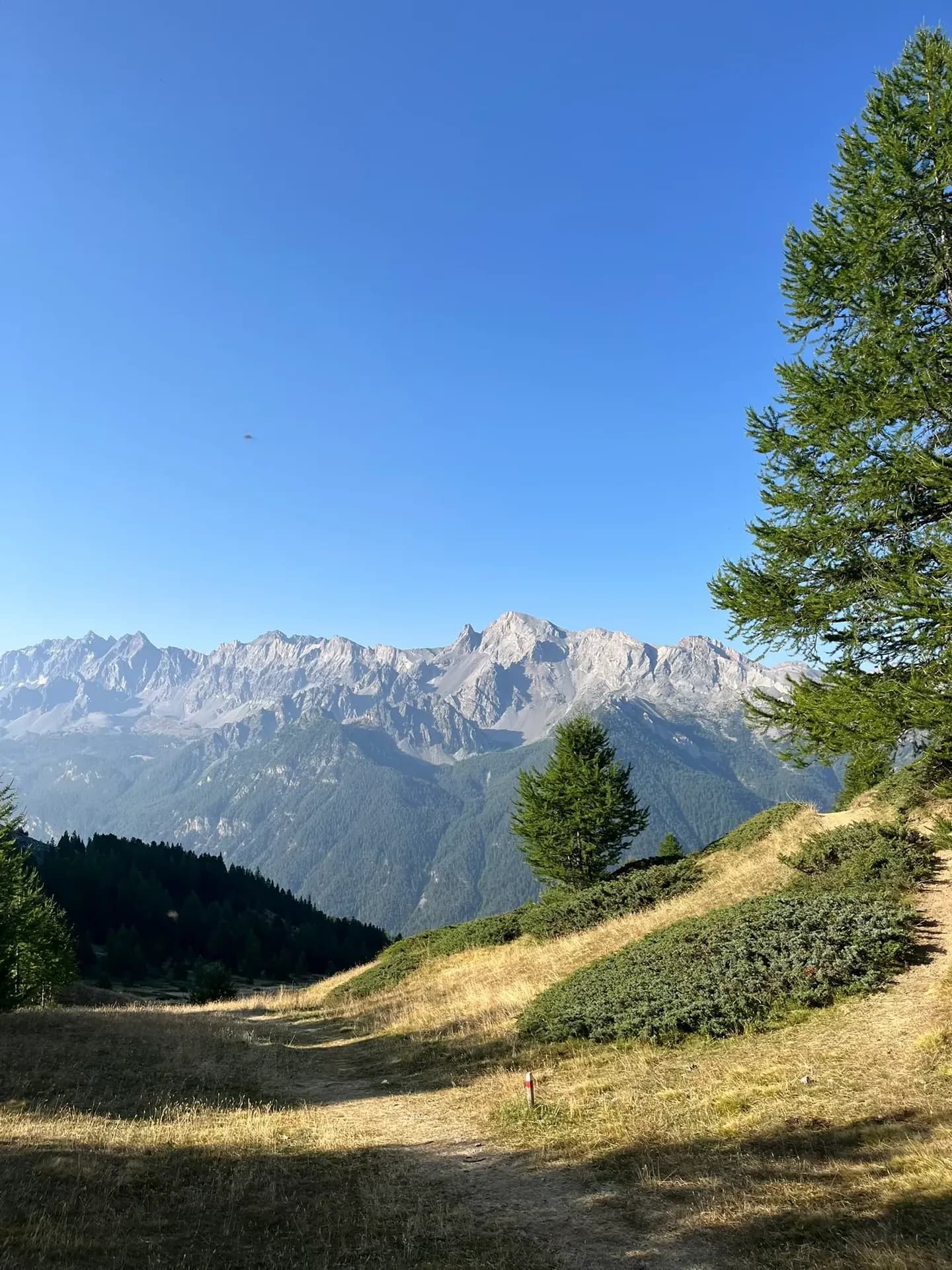 Le Tour du Queyras