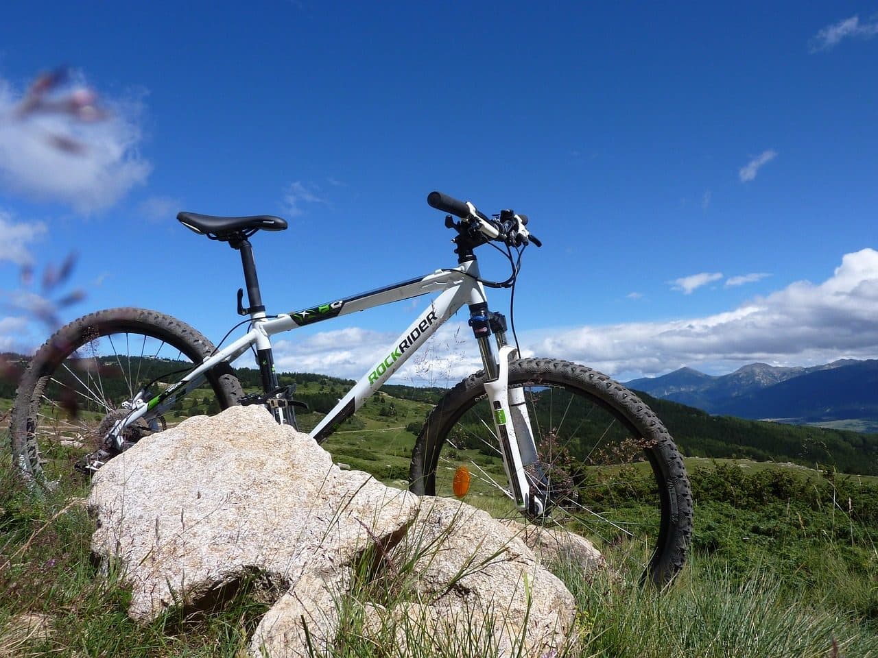 VTT