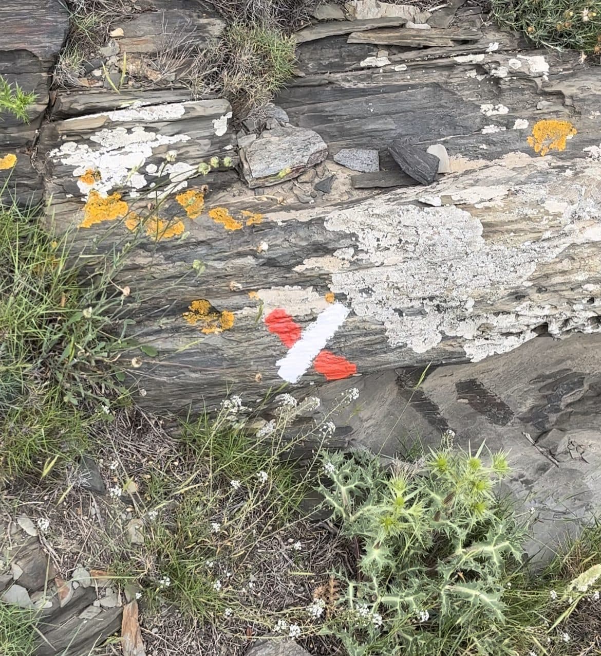 Photo d'un balisage de Grande Randonnée