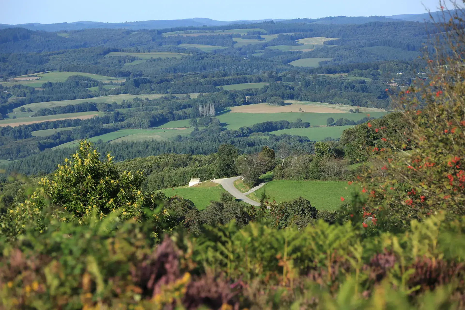 Randonnée sur le plateau Millevaches