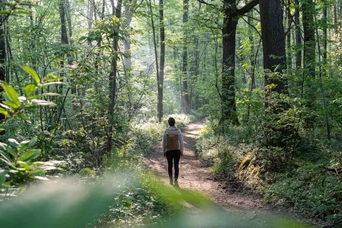 La Vallée de Chevreuse