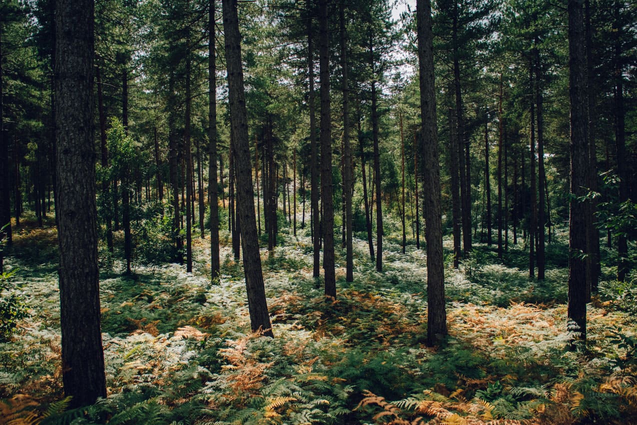 Randonner autour de Paris