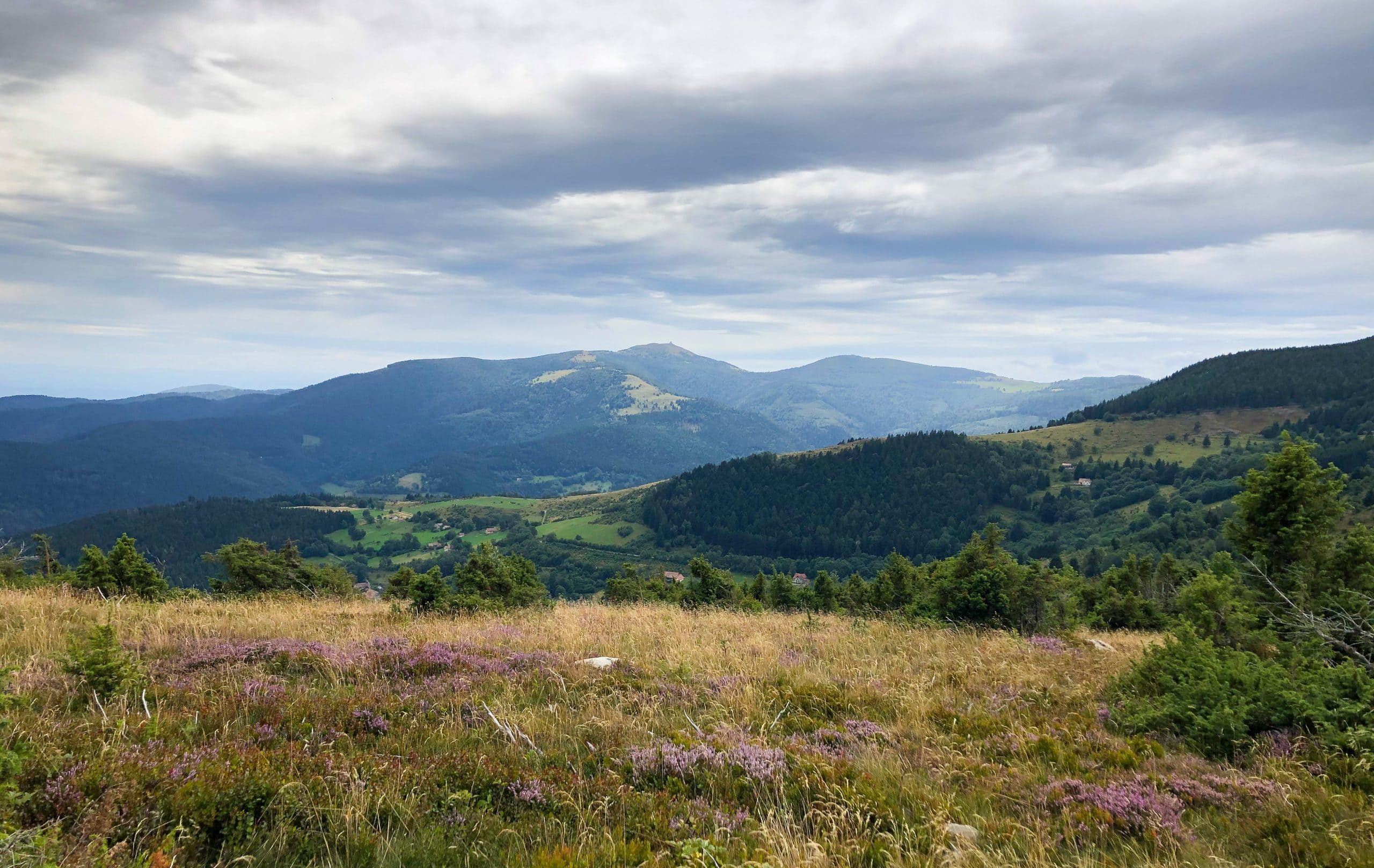 bivouac sur les Chaumes des Vosges