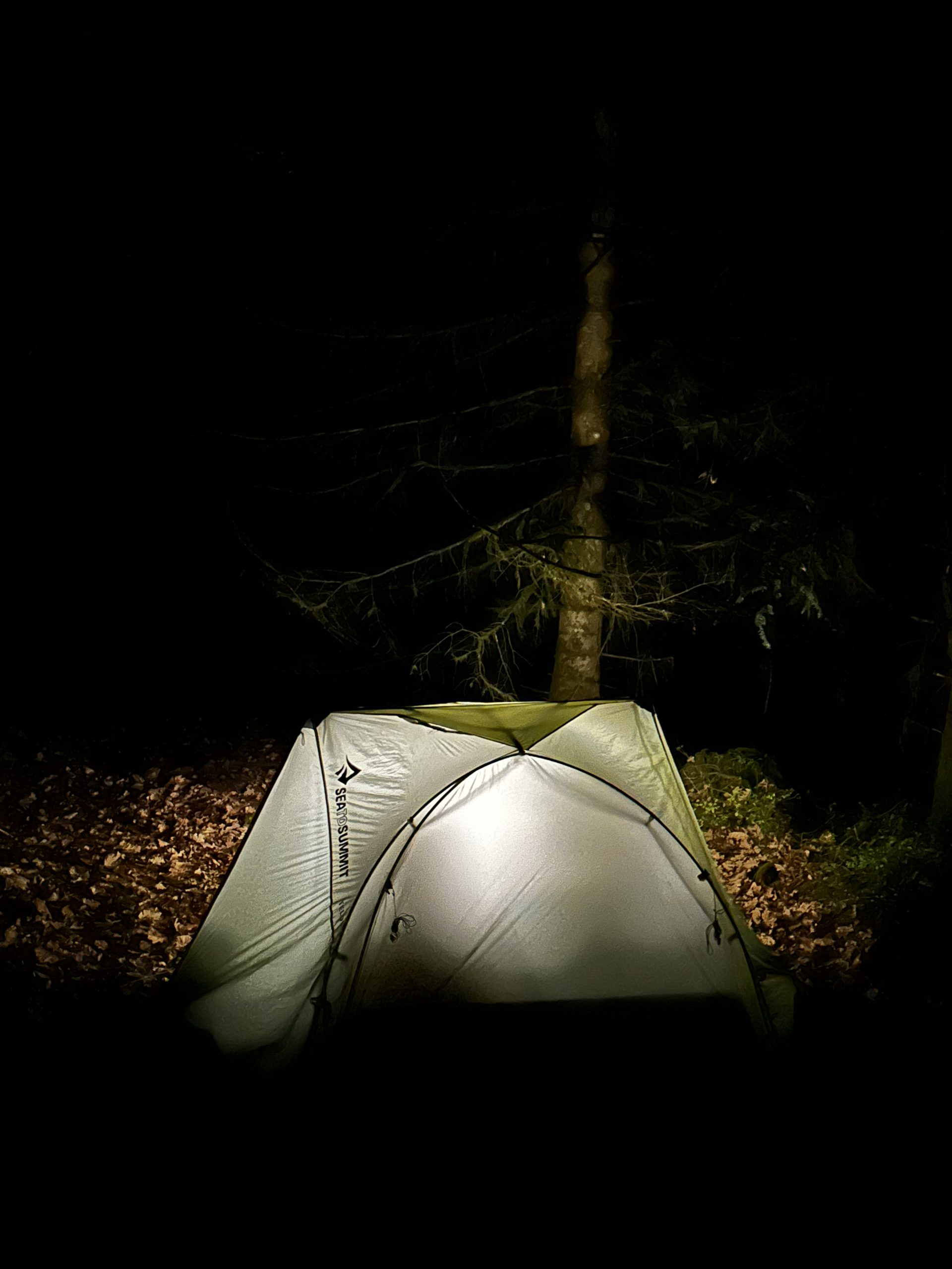 Nuit bivouac dans les bois