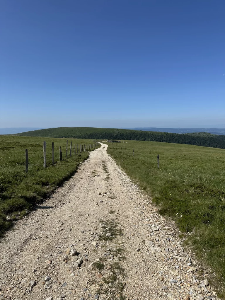 Chemin sur les Hautes Chaumes