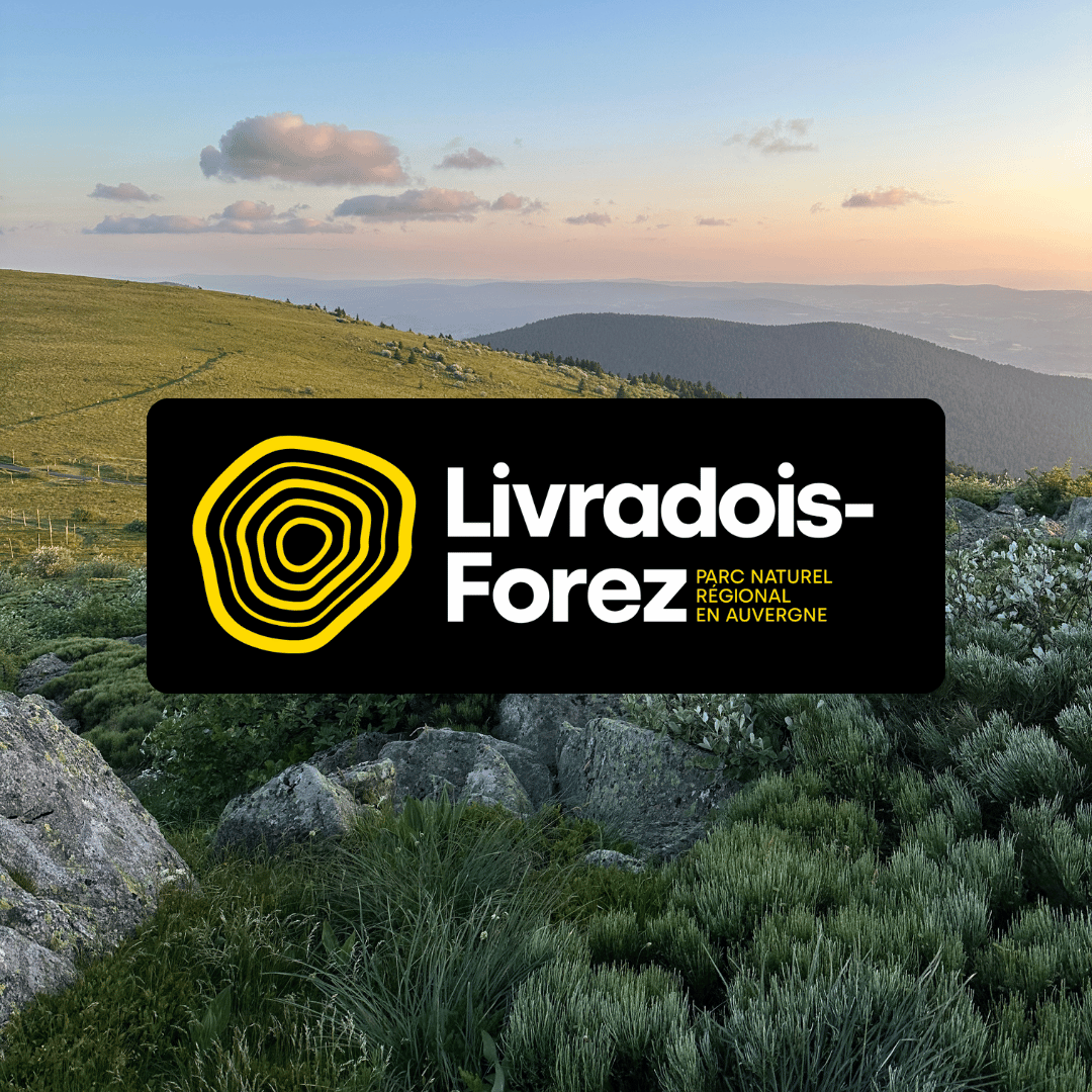 Vignette LivradroisForez