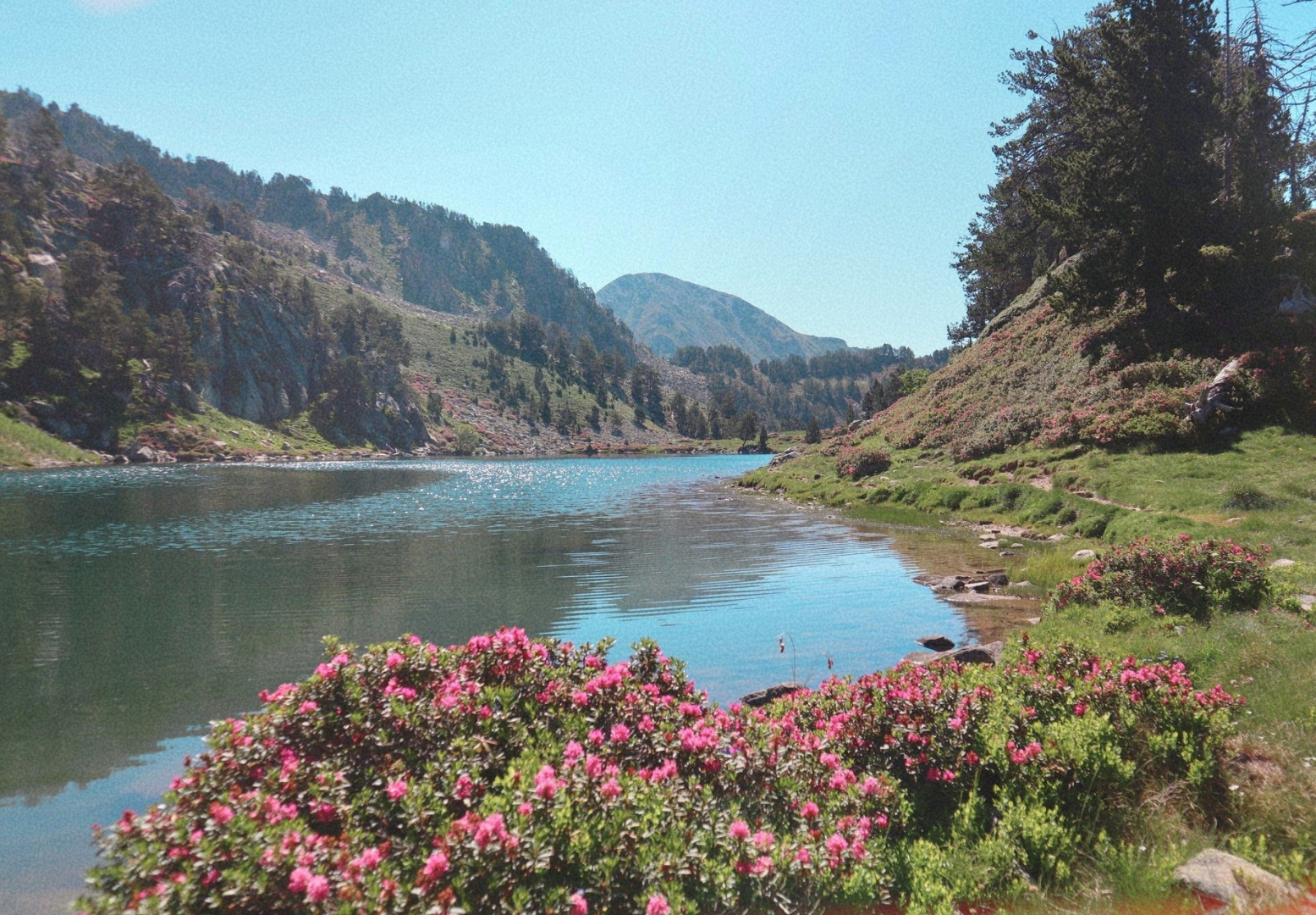 Paysage dans le Néouvielle