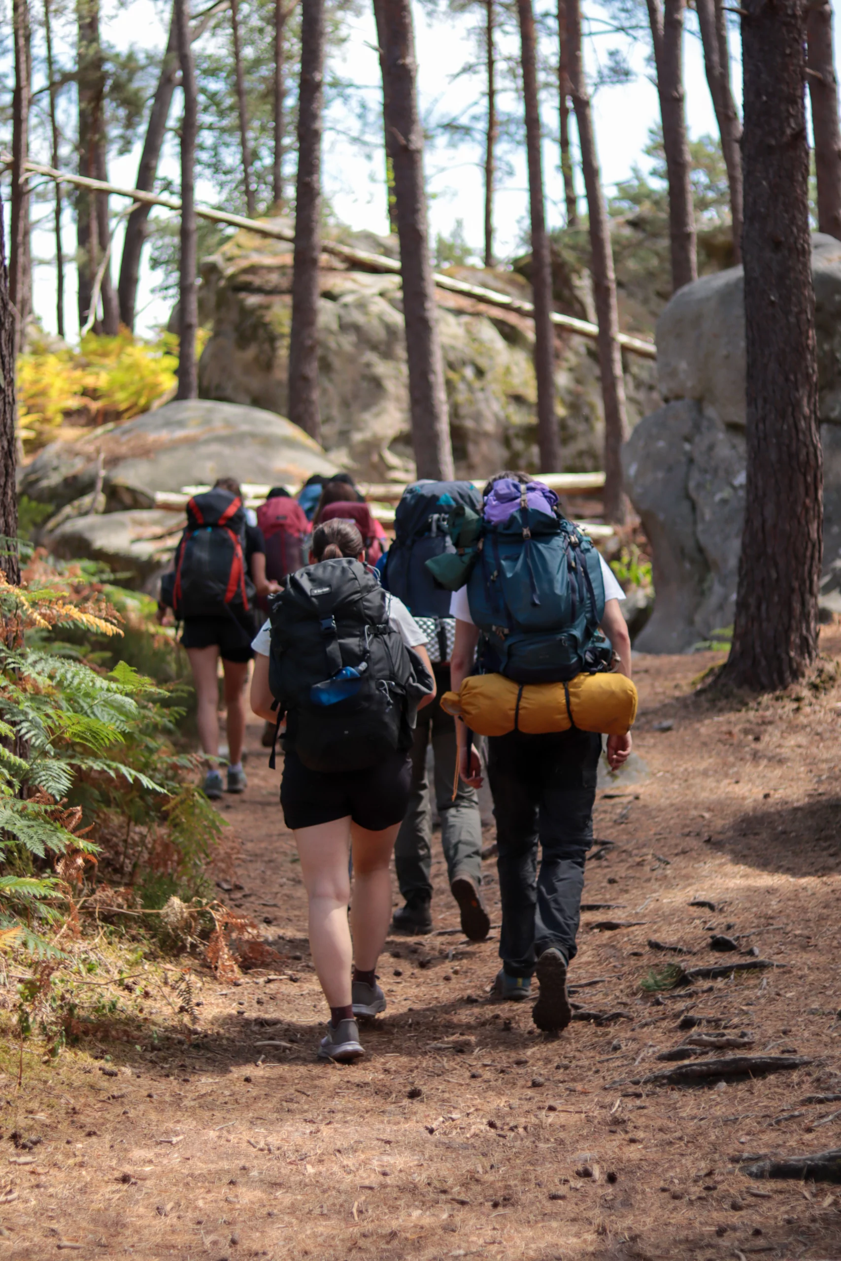 Bivouac à Fontainebleau
