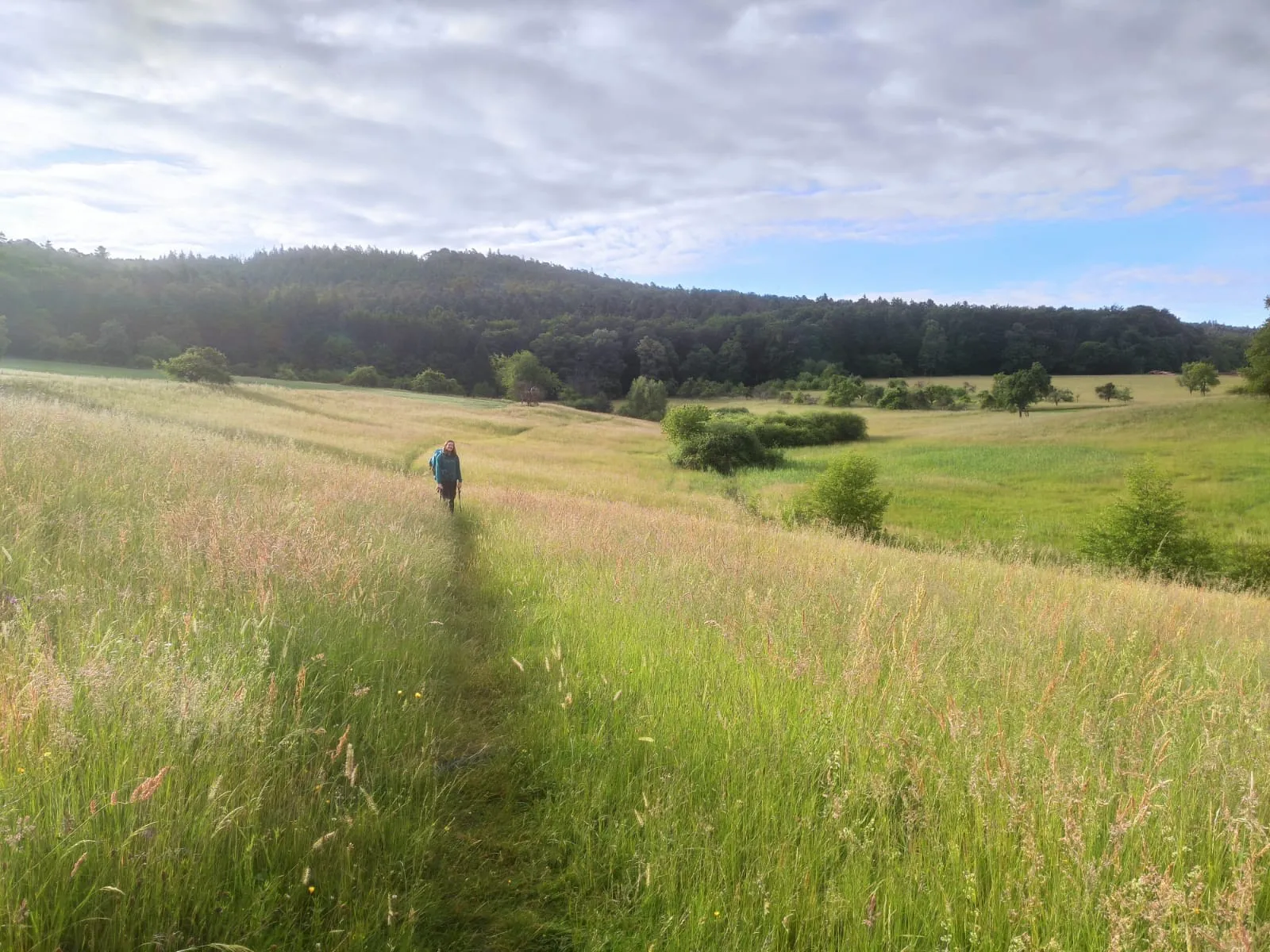 Paysage vosges du nord