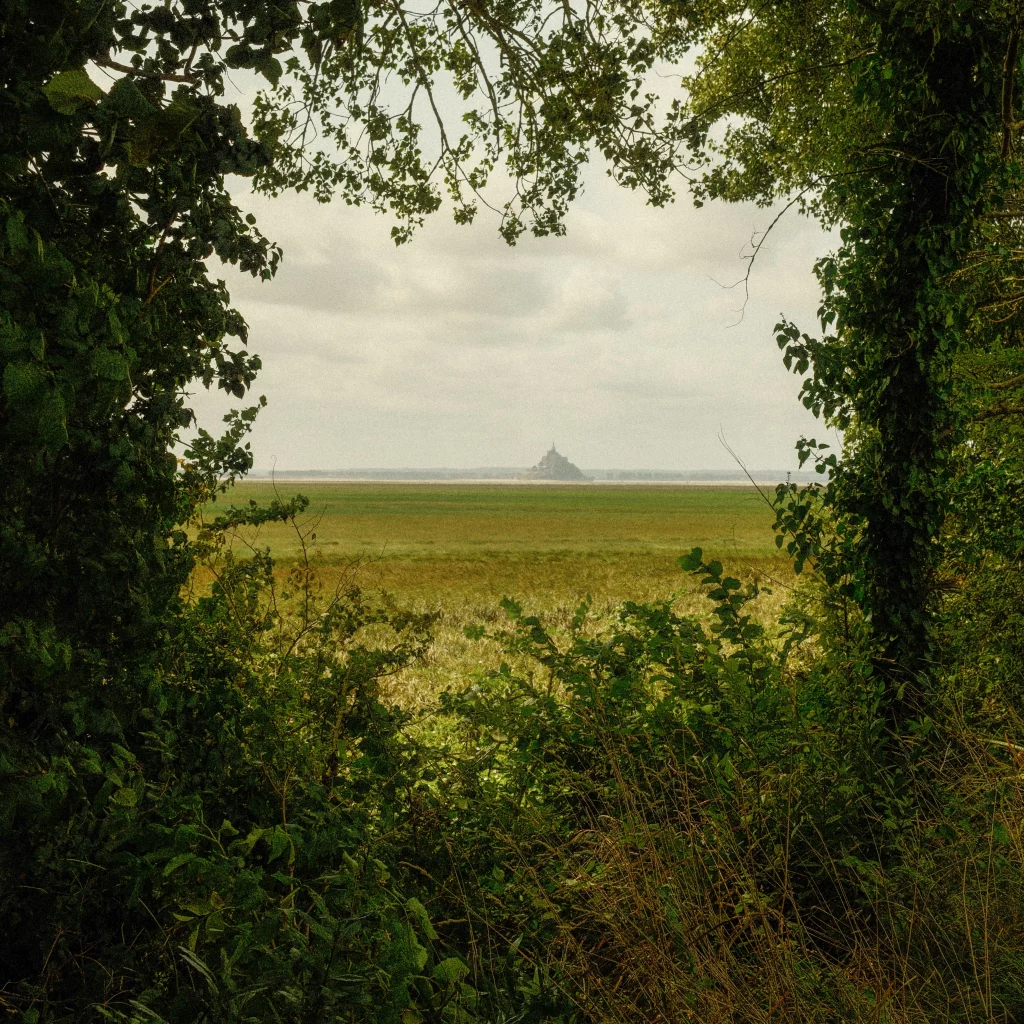 DSCF0104 imageonline.co 2613081 1024x1024