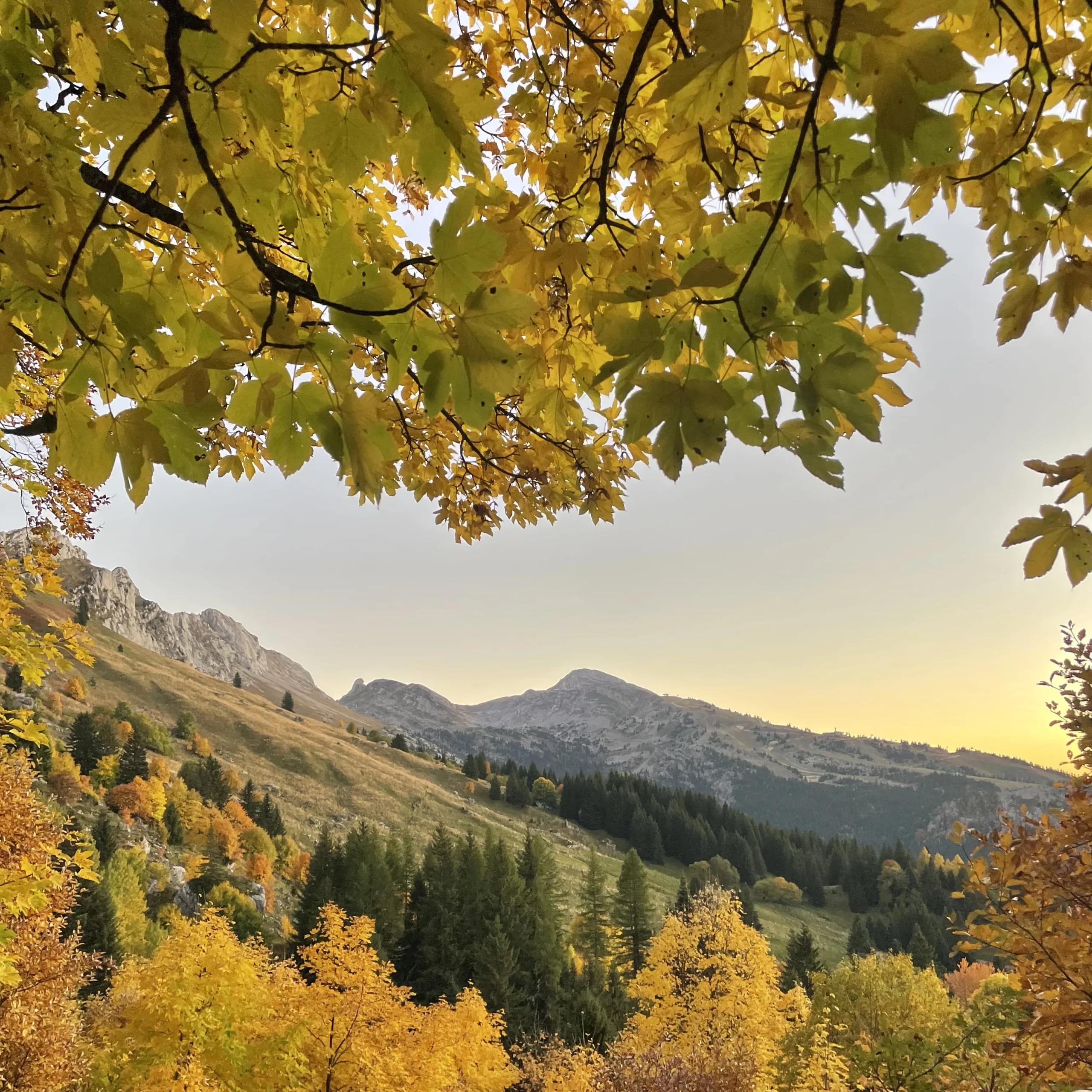 L'automne en randonnée dans le Vercors