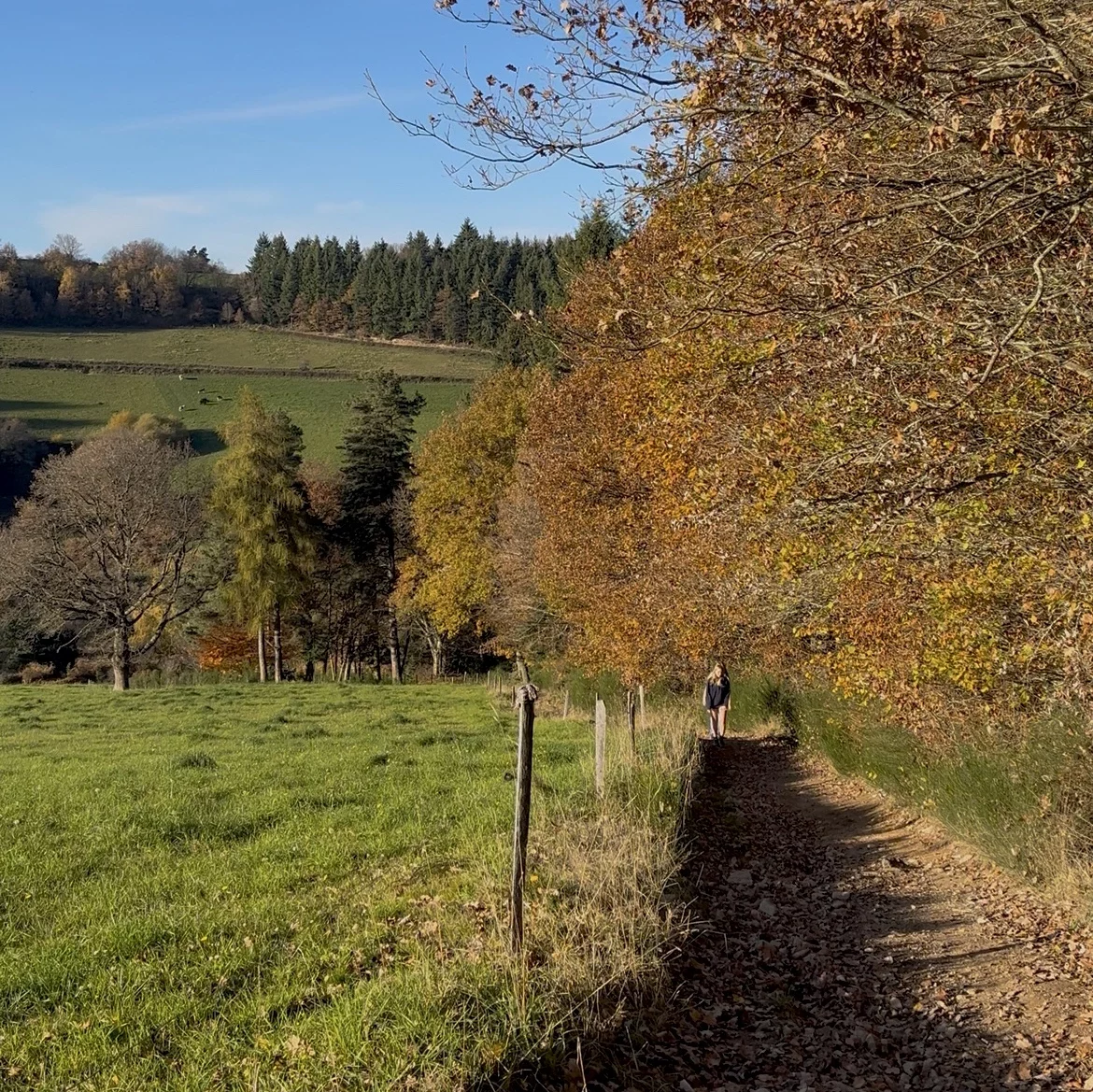Une randonnée à la journée  en automne dans les Monts du Lyonnais