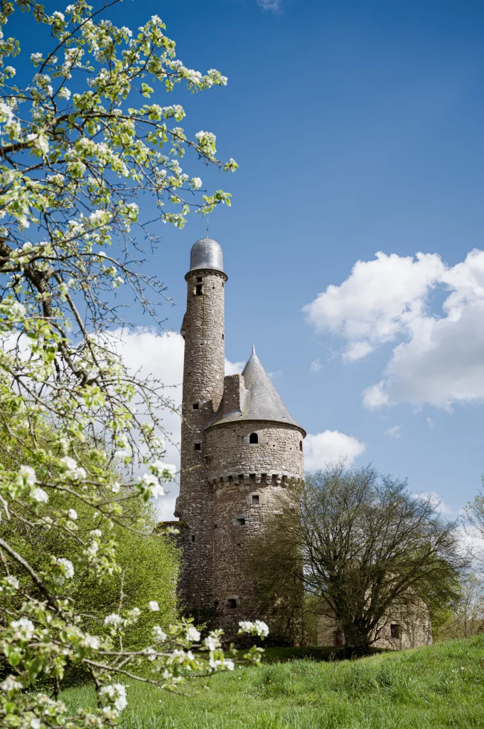 Tour de Bonvouloir et poirier en fleur  Juvigny sous Andaine   Thomas Le Floc H 24905 681x1024
