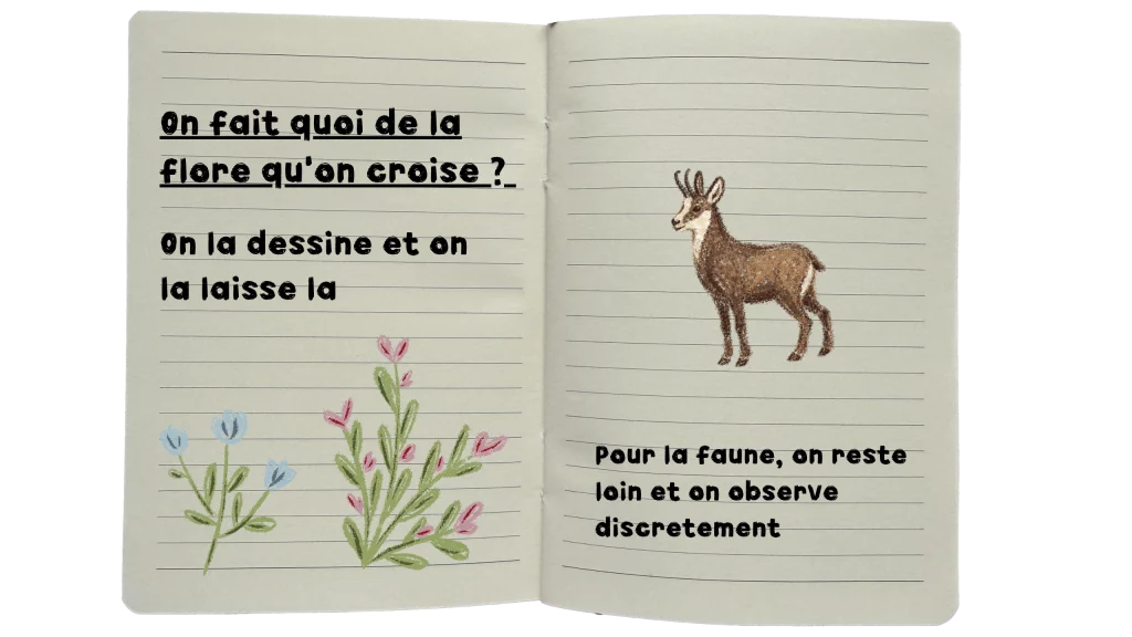 BivouacEcrins5 1 1024x576