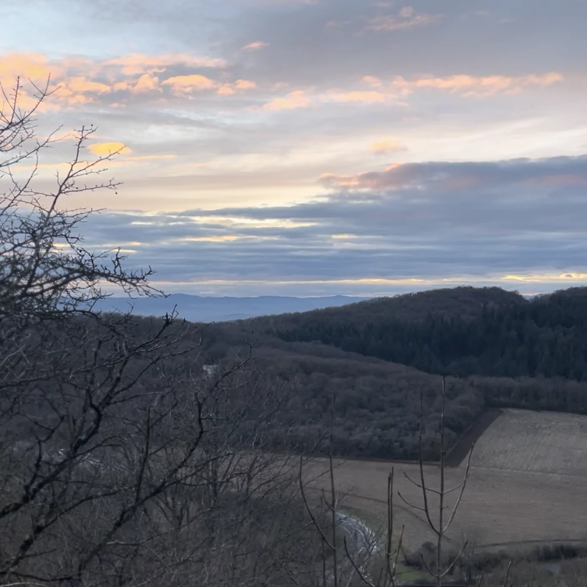 La campagne lyonnaise