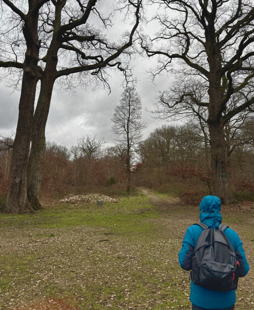 ForetDeSenart.webp2 841x1024