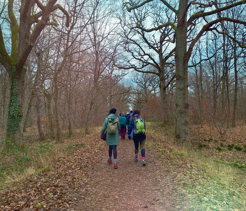 ForetDeSenart.webp3 1024x878