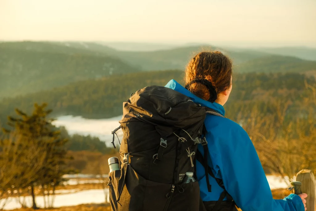 Vue Massif des Vosges