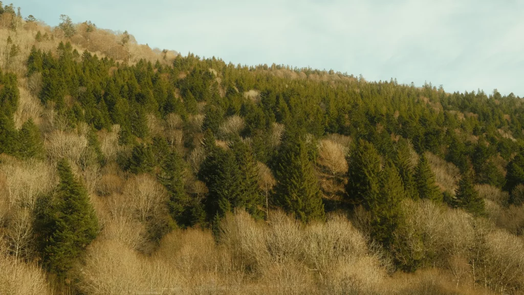 Parc Naturel Régional des Ballons des Vosges