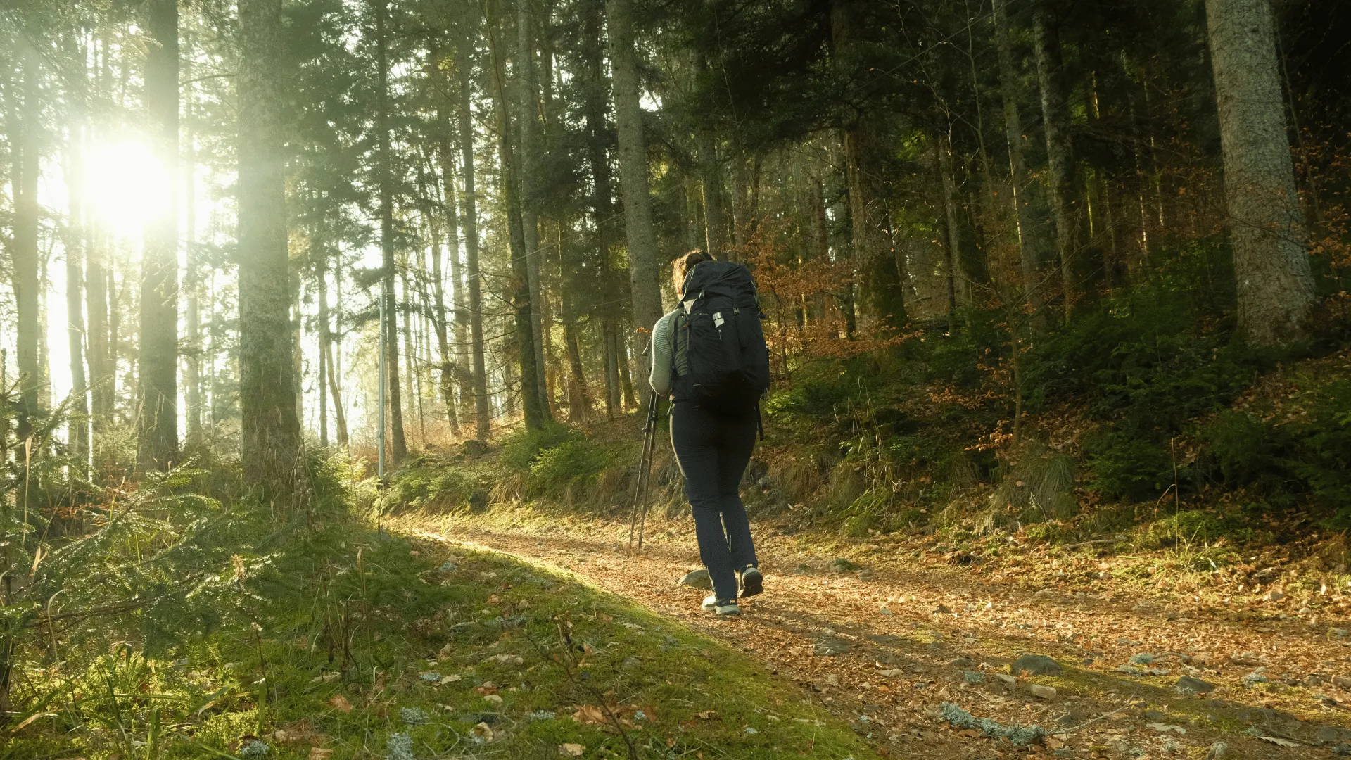 Top 5 des randonnées à faire en mai